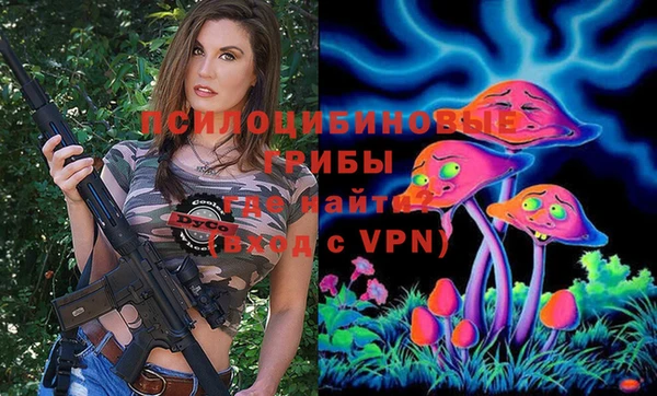 тгк Нефтекумск