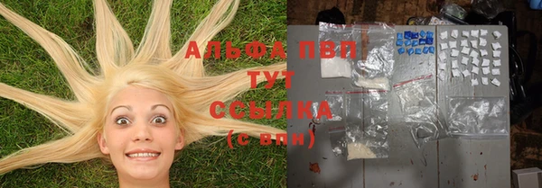 тгк Нефтекумск