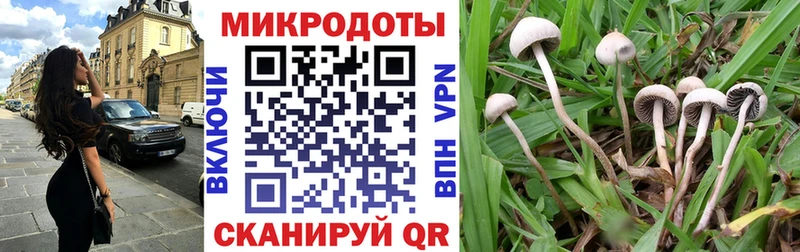 Галлюциногенные грибы Psilocybe  наркотики  blacksprut сайт  Чишмы 